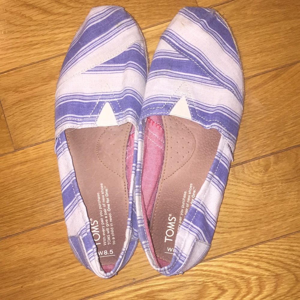 Blue and White Canvas Toms